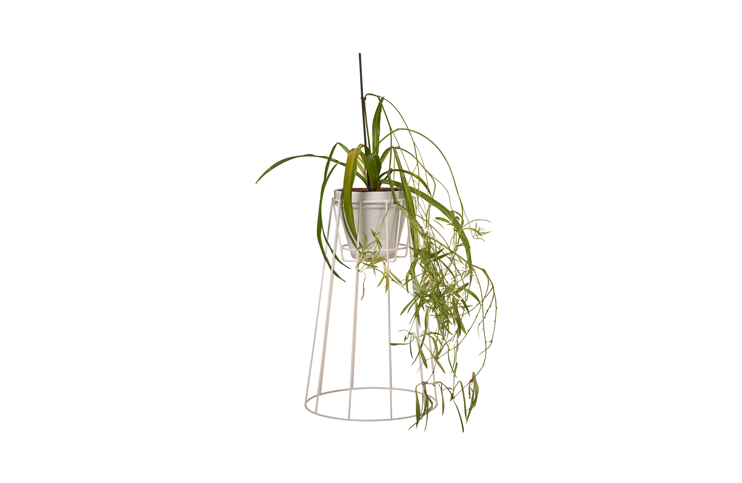 m6米乐在线（集团）科技有限公司 - 附件|花器|办公家具|设计师家具|西布莉植物架