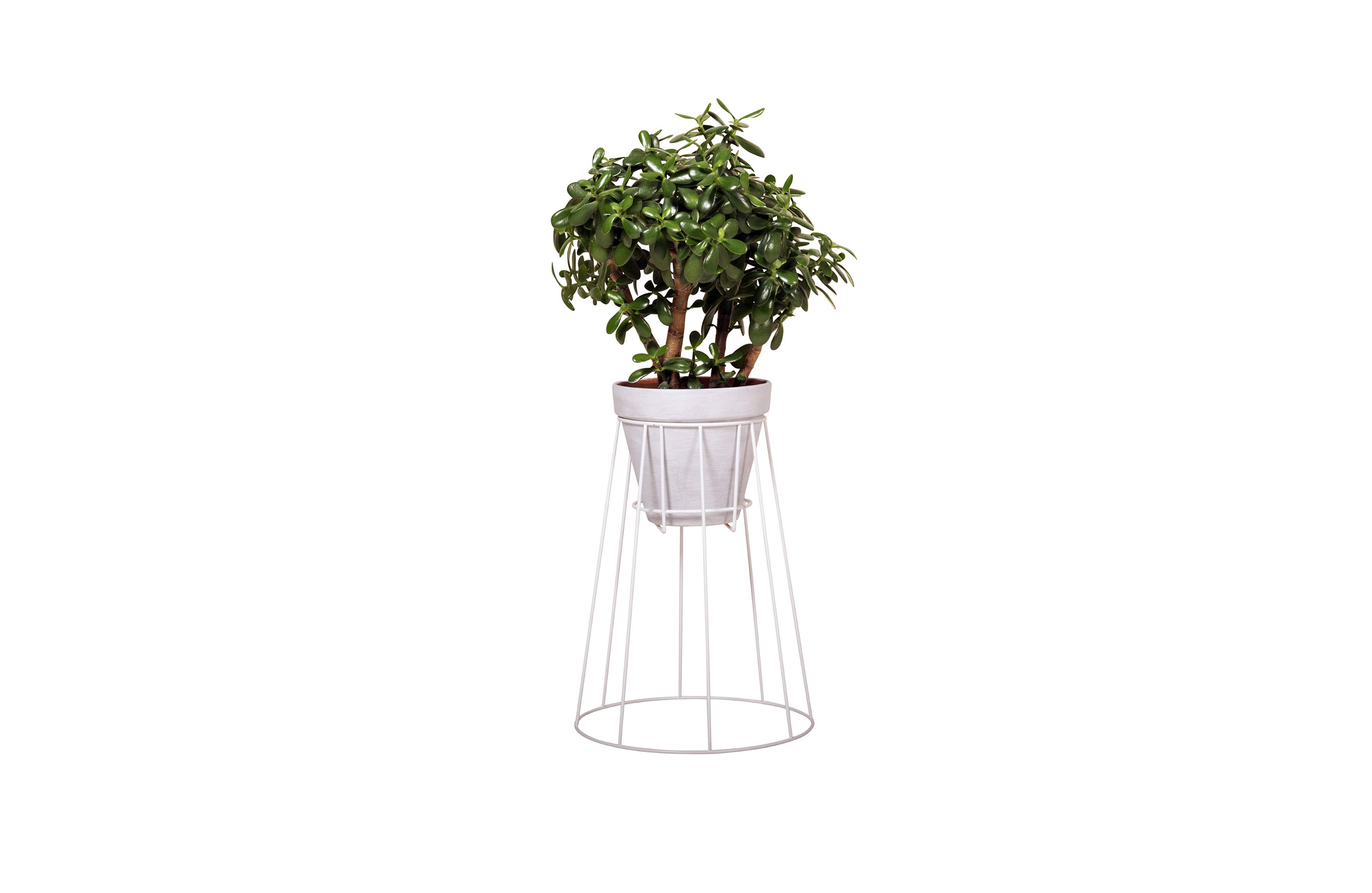 m6米乐在线（集团）科技有限公司 - 附件|花器|办公家具|设计师家具|西布莉植物架