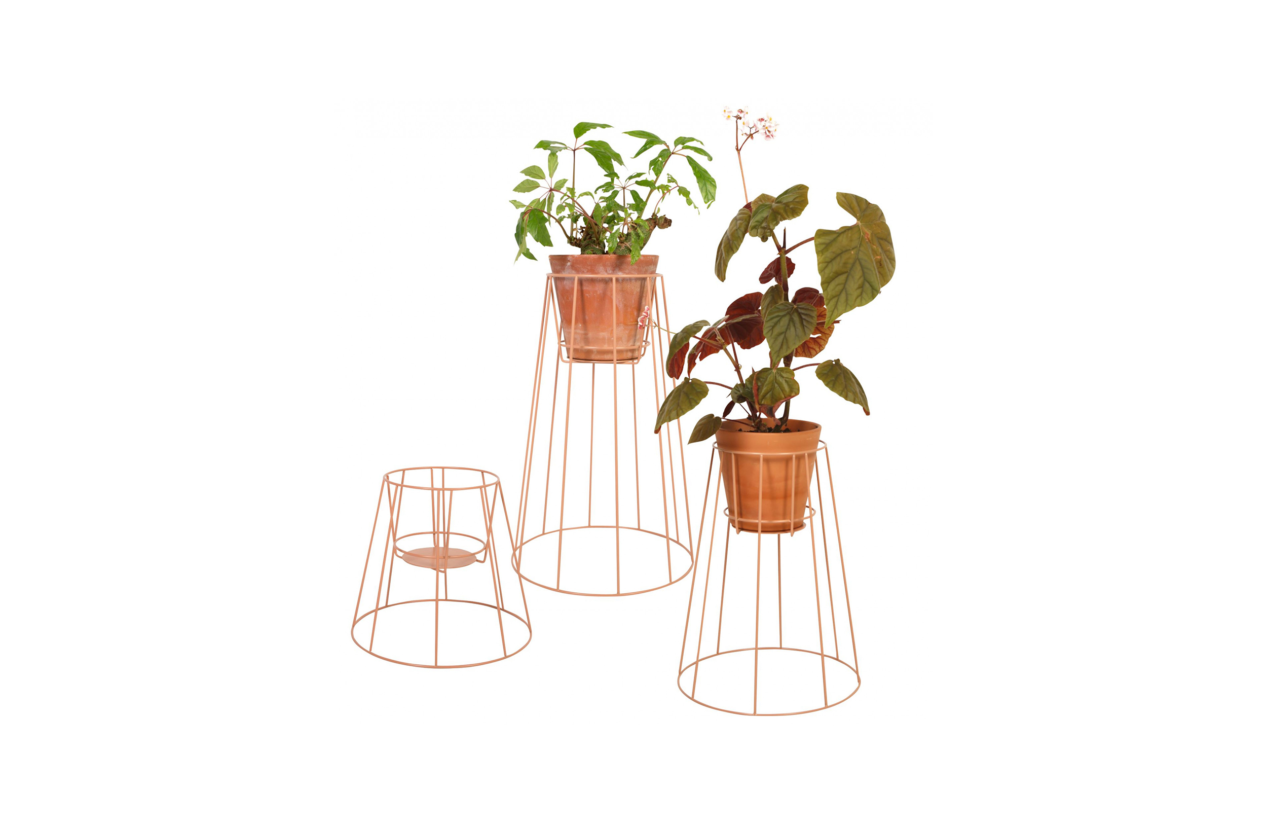 m6米乐在线（集团）科技有限公司 - 附件|花器|办公家具|设计师家具|西布莉植物架
