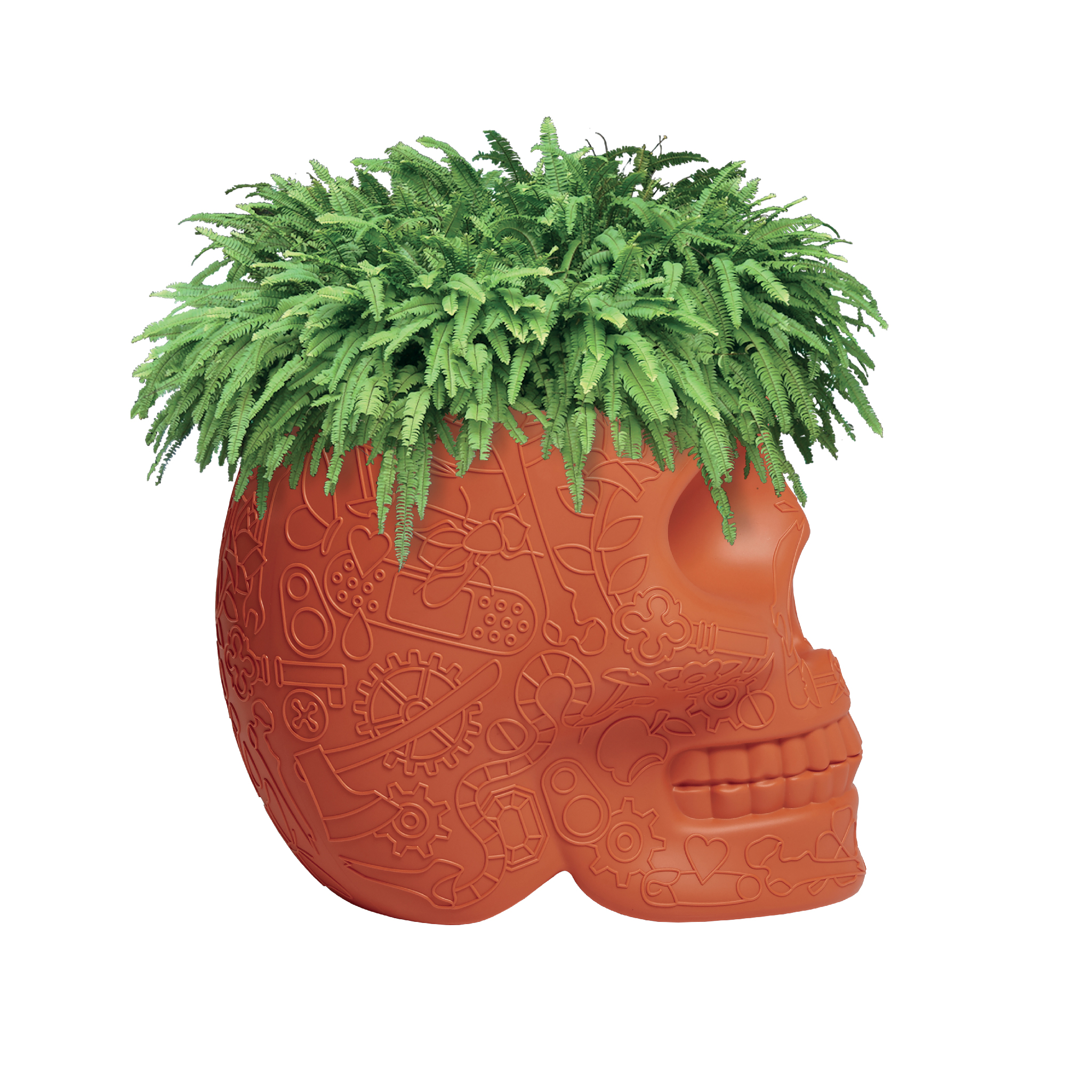 m6米乐在线（集团）科技有限公司 - 附件|花器|办公家具|设计师家具|墨西哥花盆