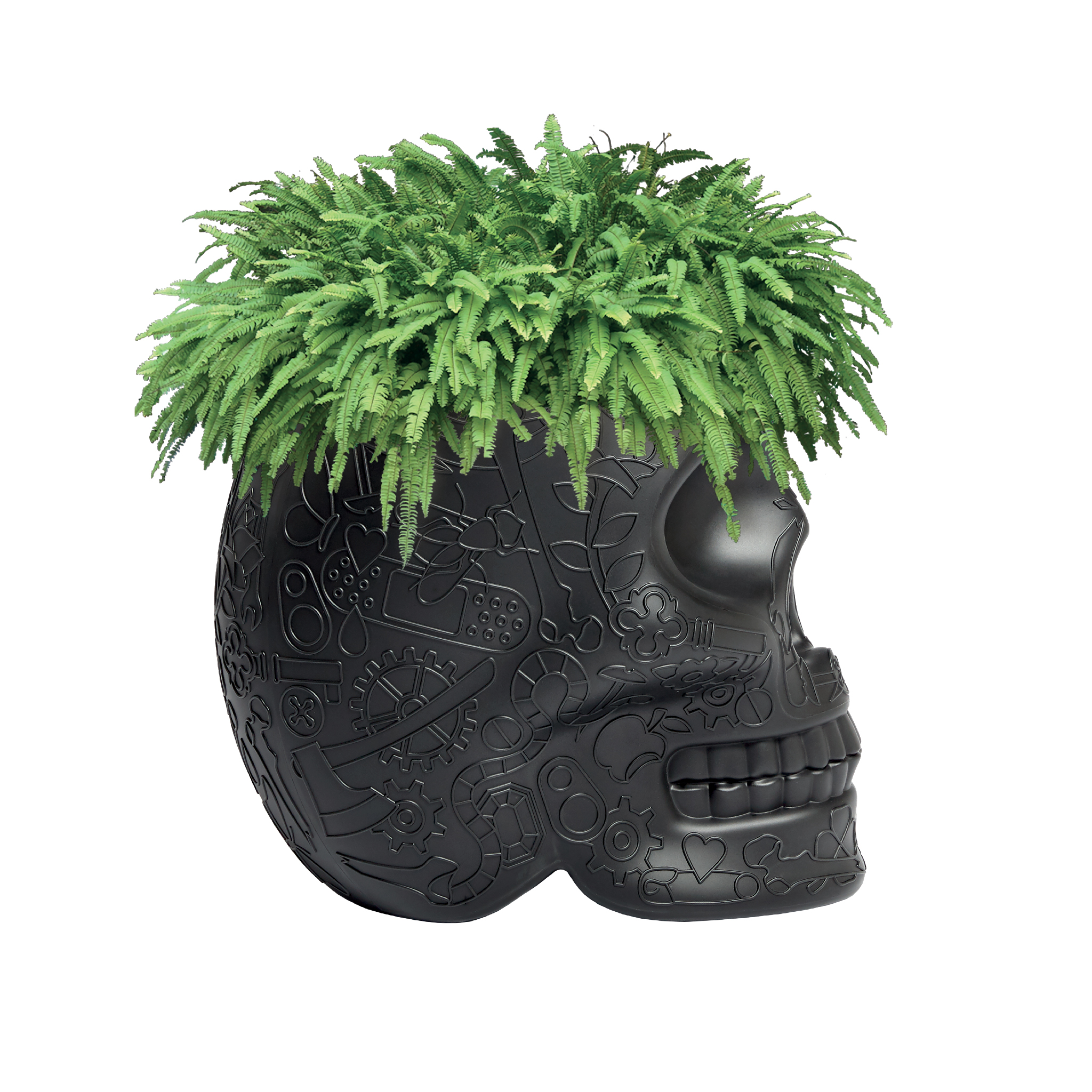 m6米乐在线（集团）科技有限公司 - 附件|花器|办公家具|设计师家具|墨西哥花盆