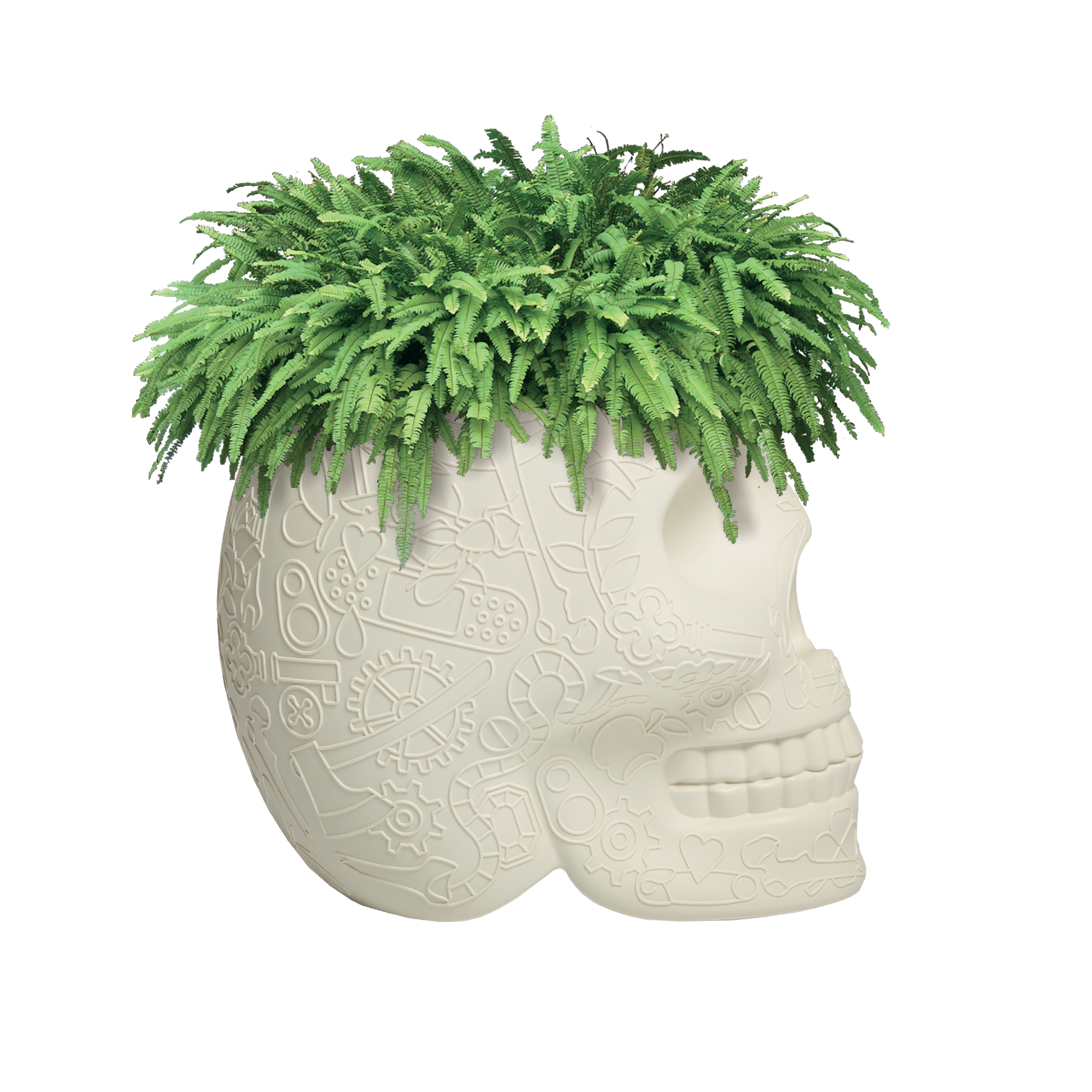 m6米乐在线（集团）科技有限公司 - 附件|花器|办公家具|设计师家具|墨西哥花盆