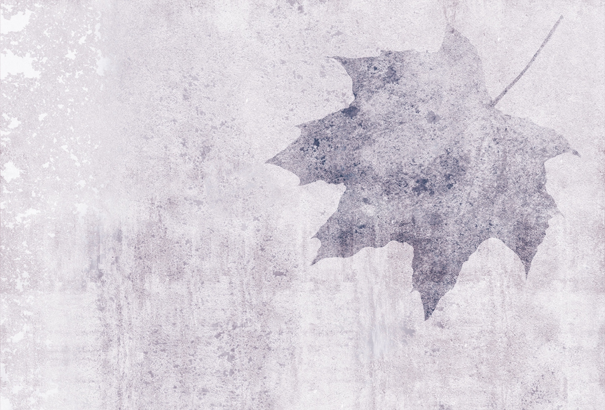 m6米乐在线（集团）科技有限公司 - 附件|装饰画/墙饰|办公家具|设计师家具|枫叶-原创定制壁画